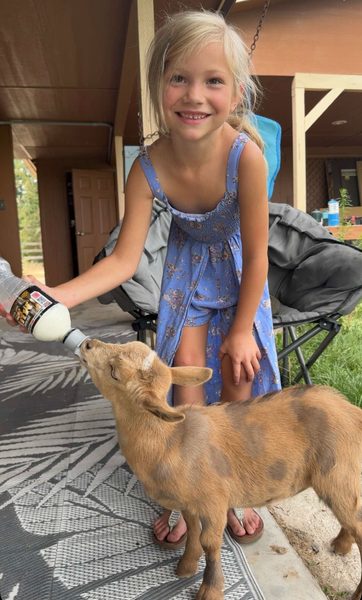 Therapy goat at the Clear Skies Therapy Center location in Star, Idaho